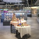 온마음 동물메디컬센터 이미지