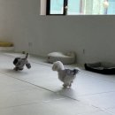 어썸멍스쿨 이미지