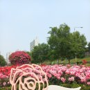 용마산로23길 이미지