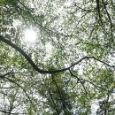 미래의원 이미지