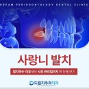 안녕사랑니치과의원 네이버블로그