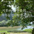 [시민제안강의] 내 삶의 화양연화 플라워 디자인 | [기후여행자] 11. 기후여행 공유회, 무엇을 감각화할 것인가.