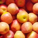 삼성 JOY 헬스 이미지