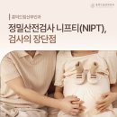흥덕드림산부인과의원 네이버블로그