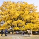 만의골로 이미지