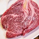 황소고집 이미지