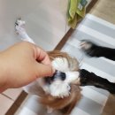 춘희네 이미지