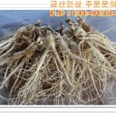 금산인삼 이미지