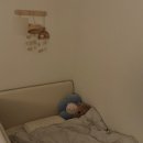 의정부매트리스청소, 아이 건강을 지키는 최고의 선택 비치움홈케어이웃