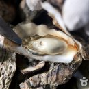 굴전여가캠핑장 이미지