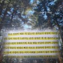 김경일 | 김경일의 마음 트래킹 책 | 김경일 책 후기 | 욕은 최대한 천천히 하는 겁니다 추천 리뷰 핵심 요약