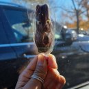 “초콜릿 덕후들의 천국! Yarra Valley Chocolaterie 솔직 후기”