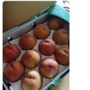 복숭아PC 이미지