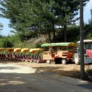 백두대간약초나라 이미지