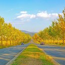 한가로이 경주 이미지