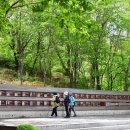 인문학 길 「사잇길」 코스 이미지