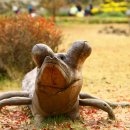 자연의 향기 이미지