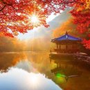 무주읍231 이미지