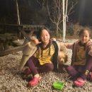 양양에 살다 이미지