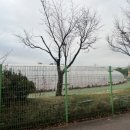 정왕육상경기장 이미지