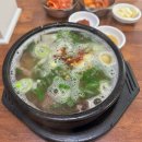 태평 | 대전 재재방문한 맛집 태평소국밥 본관 내돈내산 후기