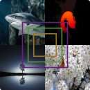 근로자종합복지관(군포시노동종합복지관) 이미지