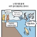 호아 이미지