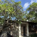 (주)슈베리 | 스미냑스타벅스 / 스미냑빌리지 / 오크베리 / 스미냑비치 / 와룽니아 / 스미냑마사지 더케어데이스파...