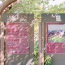 힐링관광지 주차장 이미지