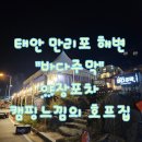 [1987바다주막] 태안 만리포 바다주막 태안야장 태안술집 태안호프집 태안핫플 바다주막 방문기