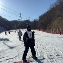 스노보드 | 엘리시안 강촌 스키장 다녀왔어요! 초딩 첫 스노보드 체험 + 무료 셔틀 후기