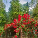 원당근린공원 이미지