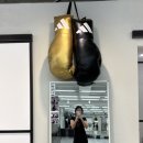 TH복싱짐 이미지