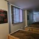 효소를담다, 효담 이미지