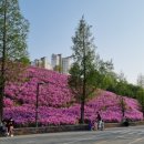 리드인독서논술광교상현역점학원
