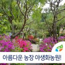 제천꽃농원