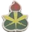 50사단 122여단 예비군훈련대 개편사업 | 50사단 강철부대 위치 신병교육대 자대배치 등 정보 총정리