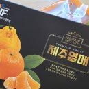 제주도 소품샵 추천 서귀포 기념품샵 선물고팡 제주 레드향 택배 후기