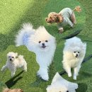 보들보들 유치원 이미지