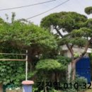 동산동-15 이미지