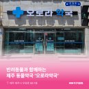 오로라약국 네이버블로그