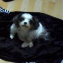 강북주유소 이미지