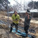 김진근농장 이미지