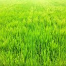 남양호 상류 이미지