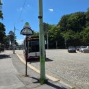 조선블루스 콘서트 | 행운을 빌어요