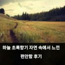 초록향기 | 하늘 초록향기 자연 속에서 느낀 편안함 후기
