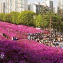 조리체육공원 이미지