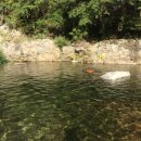 가평 숲속의 계곡 펜션 이미지