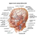 ♥겨울철 건강 / 저체온 꼭 한번 읽어 보시고 체온 관리 잘하세요. 이미지