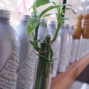 모모의다락방1 이미지